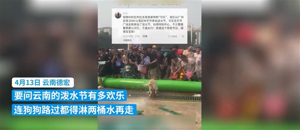 众人狂欢!泼水节连狗路过都得淋两桶水再走