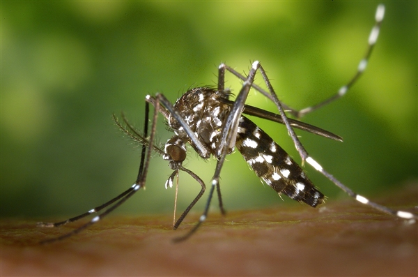 灭蚊器抽查不合格率40%！触电风险成最大安全问题 专家提醒