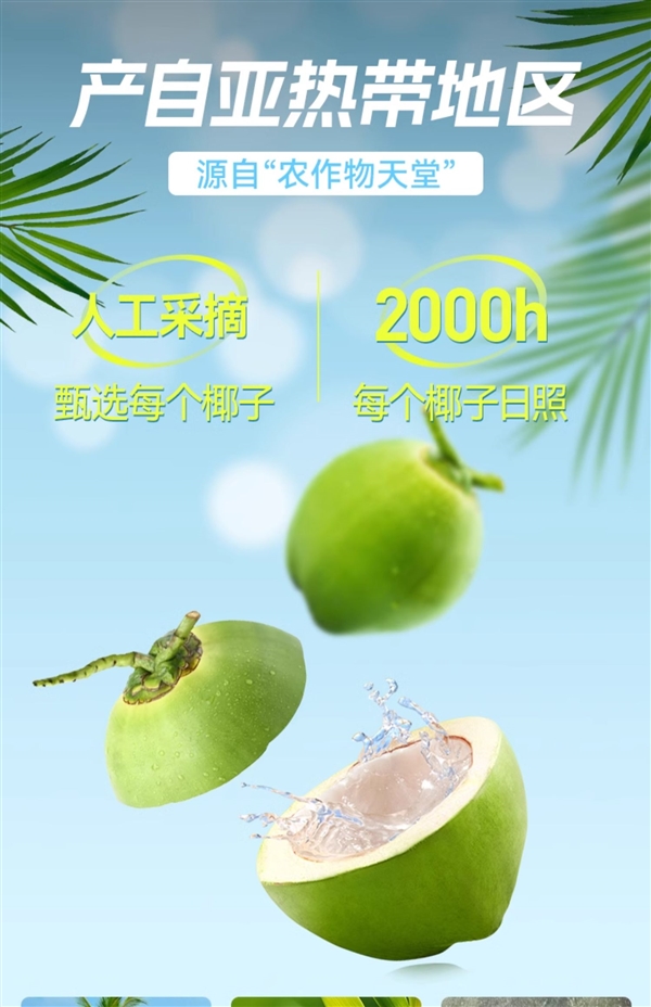 配料表只有椰子水！海蓝优鲜椰子水大促：两件券后19.8元