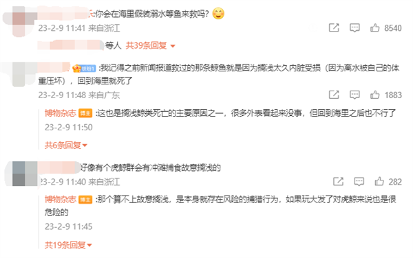 博主“科普”鲸鱼会假装搁浅吸引人来救 博物杂志辟谣:九死一生
