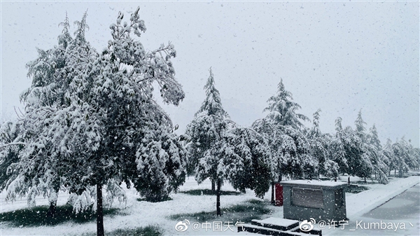 河南突降大雪：农户40亩葡萄棚被压塌、郑州多个仓库倒塌损失惨重