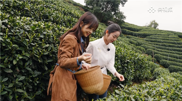 央视美女记者王冰冰时隔10月首更视频:古装美如画中仙