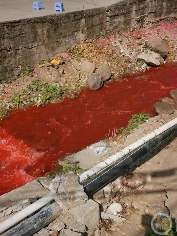 发生了什么：四川一河沟“血流成河”引围观！当地回应烟花爆竹的事
