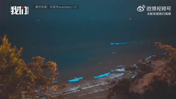 广东海陵岛海滩连日现“蓝眼泪”:3mm微生物的盛宴