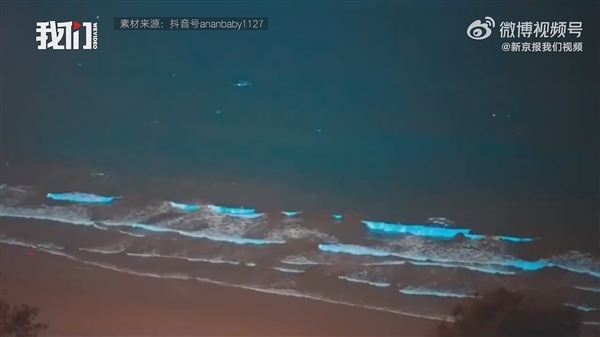广东海陵岛海滩连日现“蓝眼泪”:3mm微生物的盛宴
