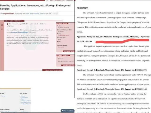美国公示丫丫回国相关申请:快回家了!