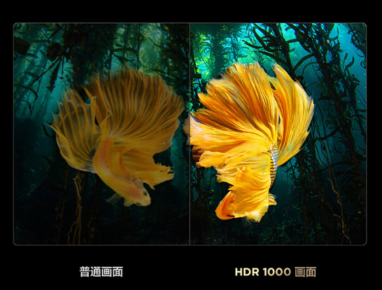 12999元 TCL推出75寸智屏C11G:4K 144Hz屏、220背光分区