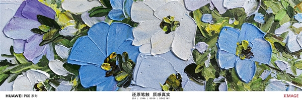华为P60 Pro拍照秒所有：七大全球第一！拍月亮更神了