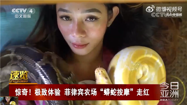 你敢体验吗？菲律宾推出网红蟒蛇按摩服务：40元享受30分钟