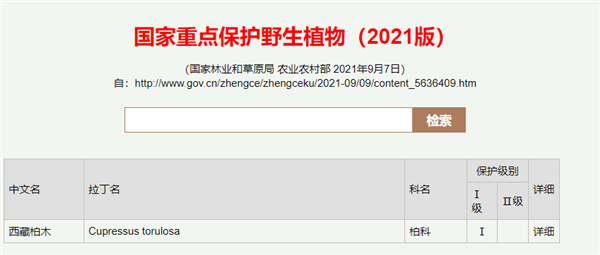 刷新记录!西藏境内发现亚洲第一高树:高达102.3米
