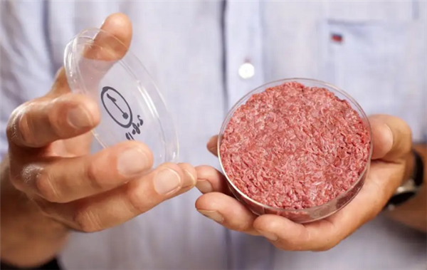 人造肉更环保?新研究表明:对气候影响可能是普通牛肉25倍