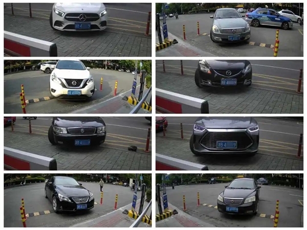 猖狂 小区停车场8辆车“共享”一个车牌 只为逃避停车费