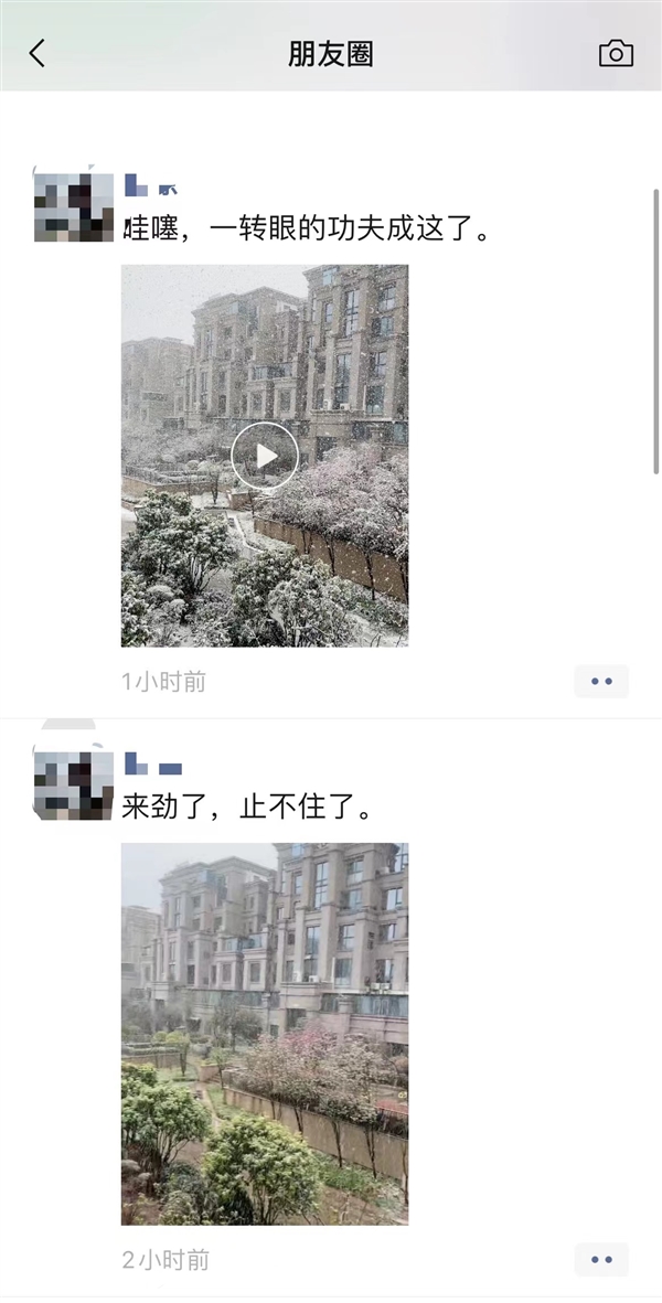 暴雪蓝色预警！河南多地迎来3月桃花雪：朋友圈雪景刷屏