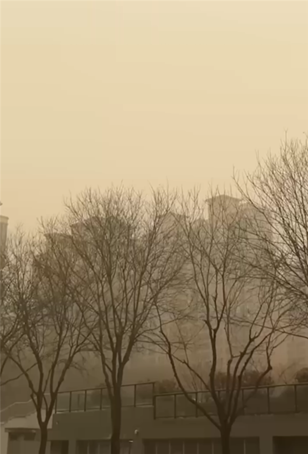 开工第1天西安人均野生兵马俑：沙尘遮天蔽日 空气都是土味