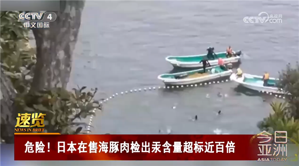 核污水马上排海!还敢吃海鲜吗 日本在售海豚肉测出汞含量超标近百倍