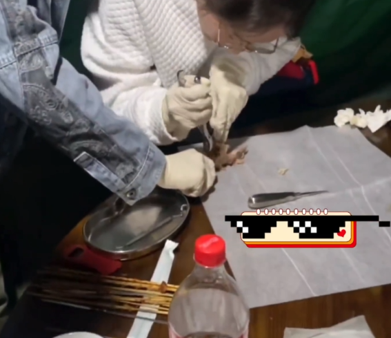 专业!医学生吃烧烤花1小时解剖猪头 网友:现场学习一举两得