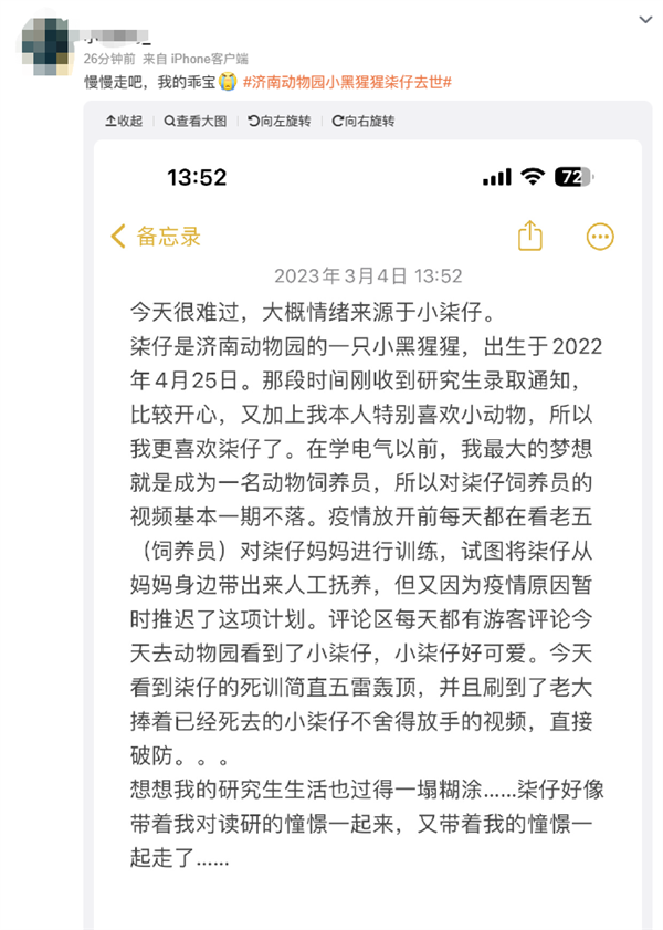济南动物园网红小黑猩猩“柒仔”去世:初步研判系突发疾病死亡