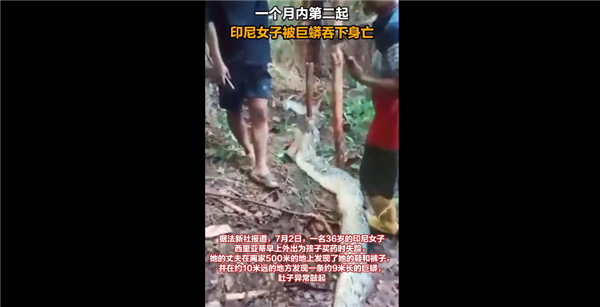 现实版狂蟒之灾！一个月内第二起 印尼女子被巨蟒吞下身亡引围观