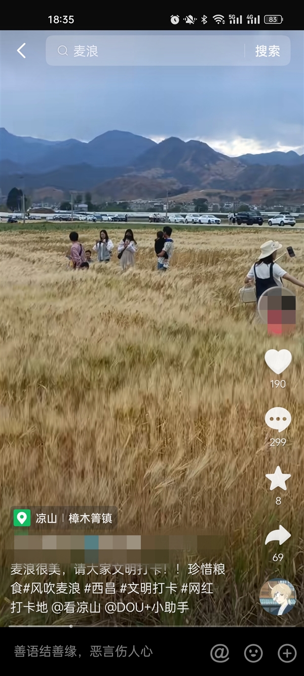 四川一麦田成网红打卡地:遭游客踩踏