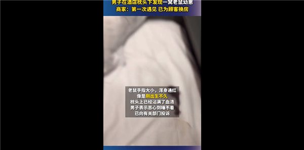 男子在电竞酒店枕头下发现一窝老鼠 官方回应引网友吐槽：怎么能住