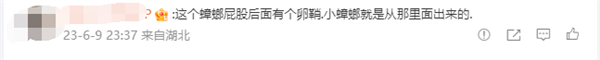 头皮发麻！男子塑料杯捉一只蟑螂 结果睡一晚变一窝