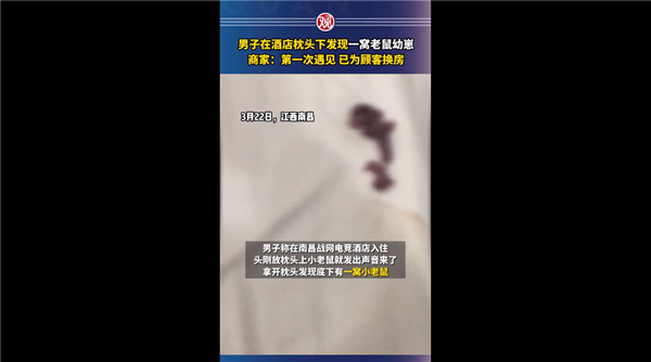 男子在电竞酒店枕头下发现一窝老鼠 官方回应引网友吐槽：怎么能住