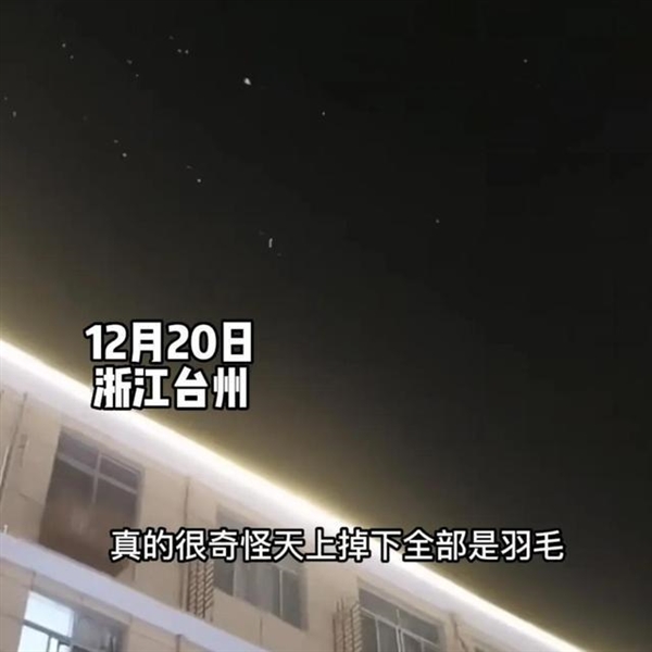让人诧异！浙江台州天上突然飘落大量羽毛：宛如鹅毛大雪