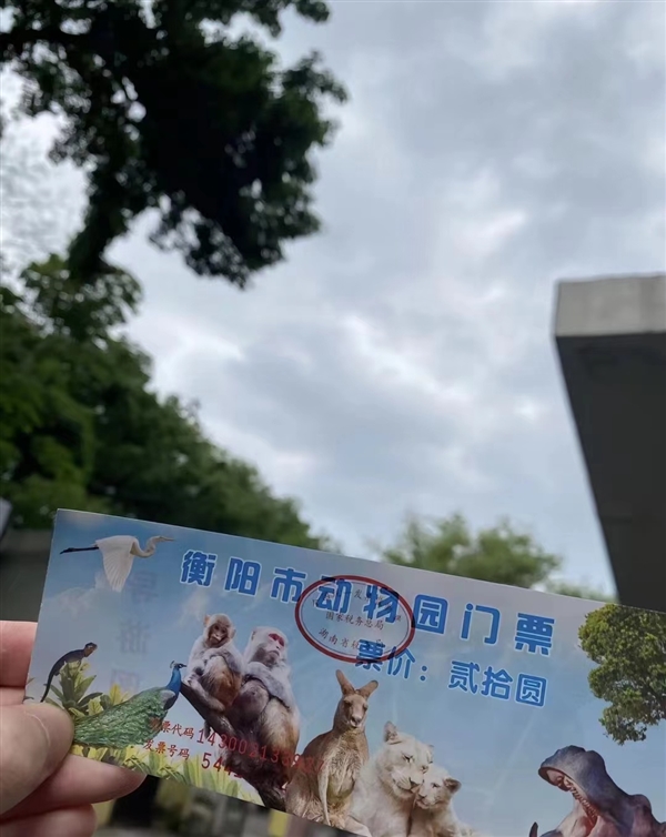“非洲狮的好朋狗”?动物园回应圈养鸡羊狗:珍稀品种 非普通家禽