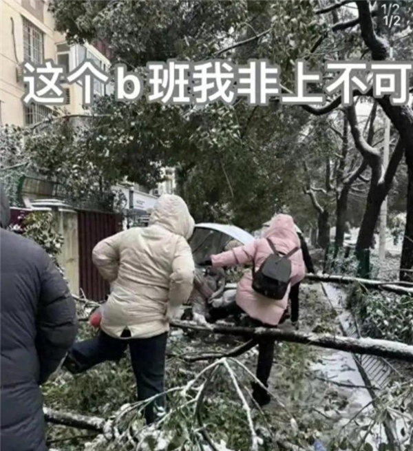 冻雨也挡不住打工人 湖北人上班堪比丛林探险