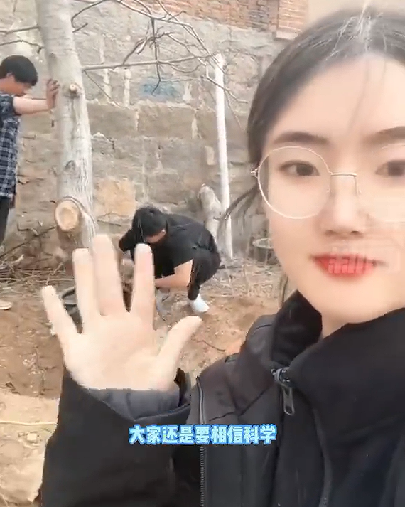 女子算命核桃树挡姻缘 家人将树砍掉：当事人称要相信科学