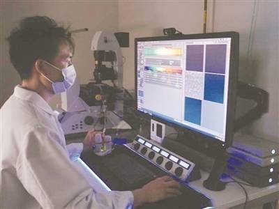 蛋白质纳米“计算机”问世:未来有望治疗癌症