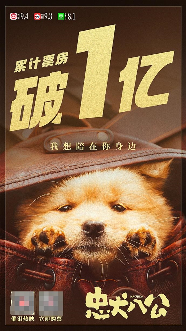豆瓣8.0分!电影《忠犬八公》票房破亿:冯小刚主演