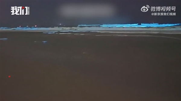 广东海陵岛海滩连日现“蓝眼泪”:3mm微生物的盛宴