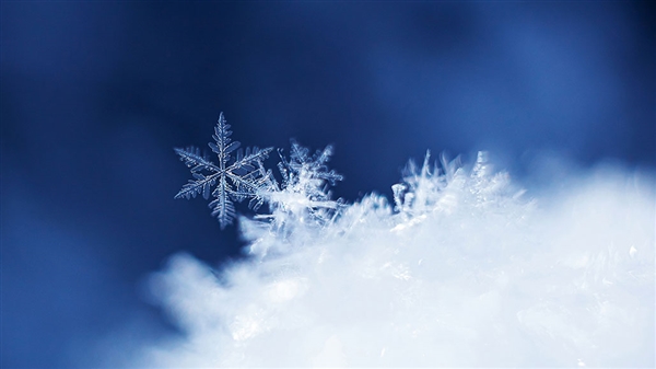 红墙白雪 网友感叹故宫的雪景也太美了