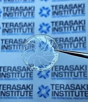 不怕干眼症！新型隐形眼镜面世：眨眼就能促进泪液流动