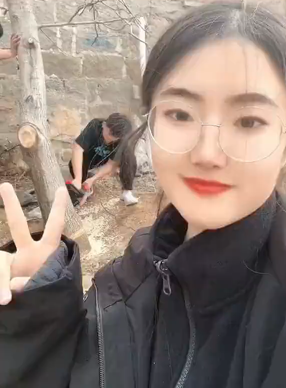 女子算命核桃树挡姻缘 家人将树砍掉：当事人称要相信科学