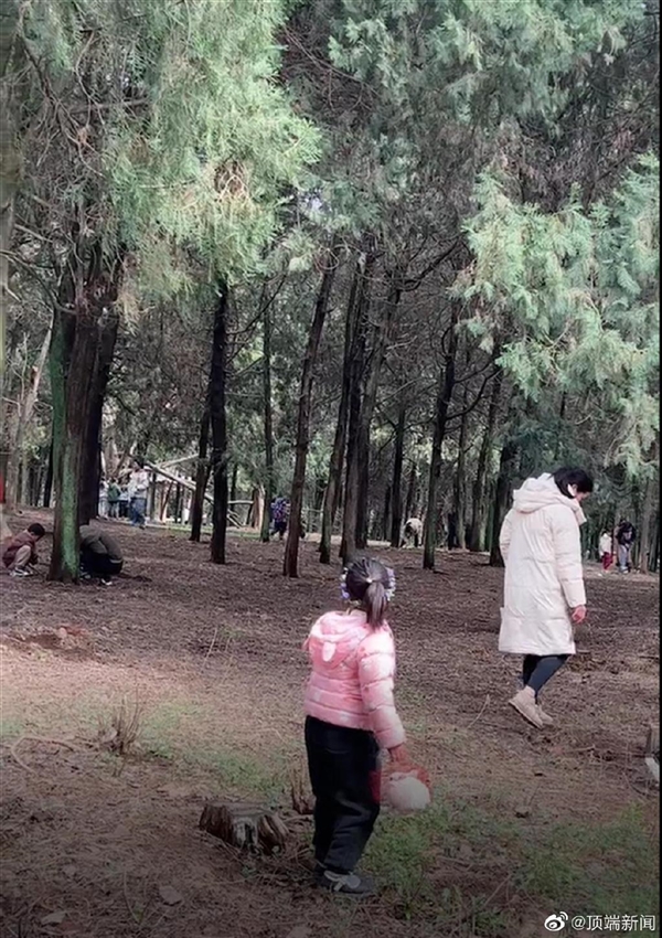 上百人进山挖黄金引网友围观！官方回应：挖的是昆虫 被称“土黄金”