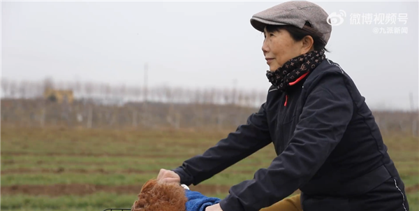 65岁阿姨离婚后8年骑行12国:忘了自己的抑郁症 网友点赞