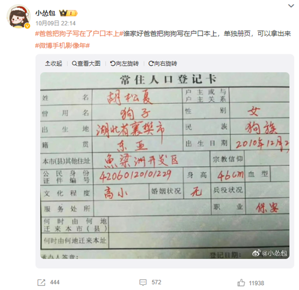 爸爸把狗子写在了户口本上引热议 官方：情节严重需承担法律责任