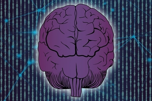 脑机接口首试者接线脱落：Neuralink曾评估风险低 不值