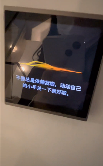 女子被智能家居气笑 感觉自己花钱请了个杠精