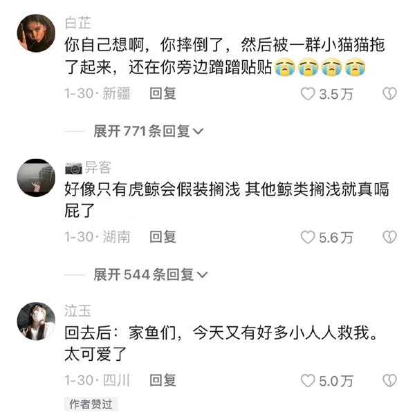 博主“科普”鲸鱼会假装搁浅吸引人来救 博物杂志辟谣:九死一生