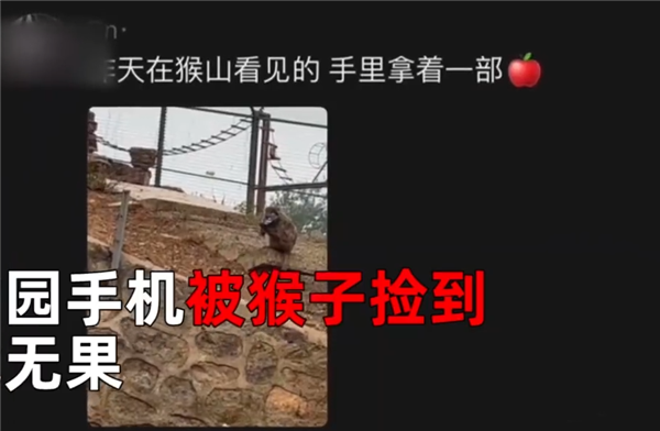 猴子捡走游客苹果手机还接了电话 iPhone丢失这么做能看定位