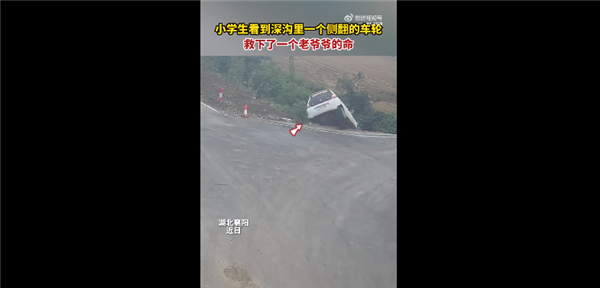 小学生发现深沟露出车轮救人一命被网友点赞心细:老人驾老头乐失控导致