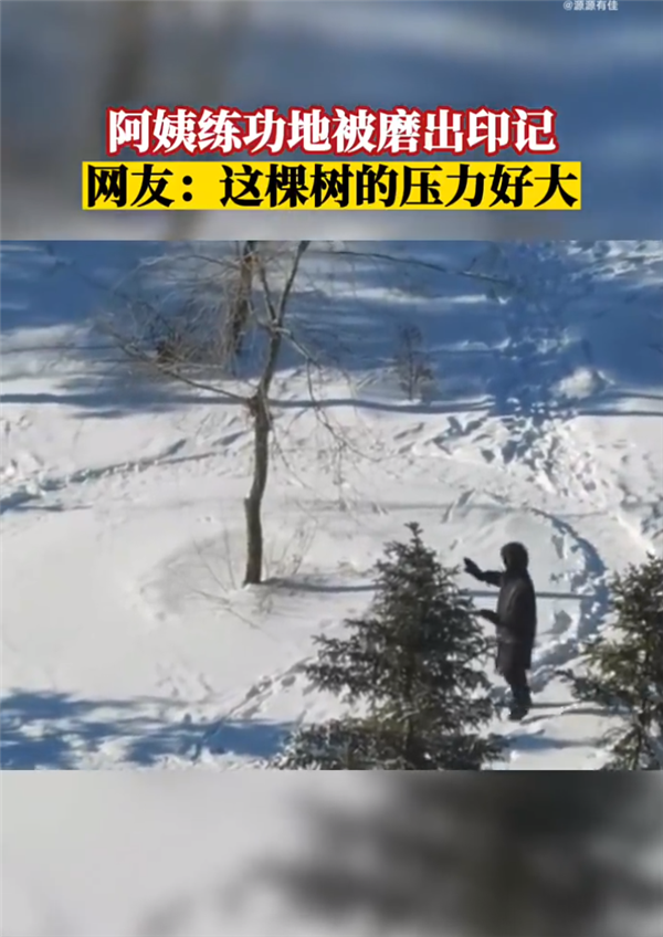 阿姨常年练功地被磨出印记 画面让网友看笑：太执着 树压力好大