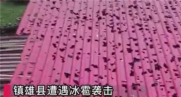 云南镇雄遭冰雹袭击:个头如鸡蛋 居民房顶直接成筛子