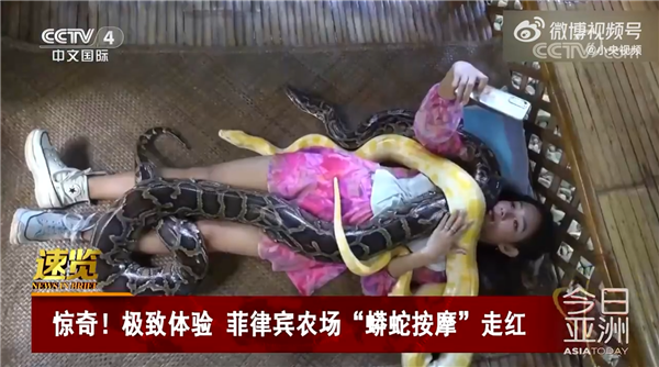 你敢体验吗？菲律宾推出网红蟒蛇按摩服务：40元享受30分钟
