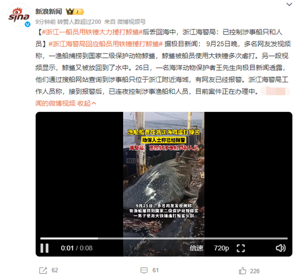 胆真大！船员用铁锤虐打国二动物鲸鲨头部后丢回海中：官方回应
