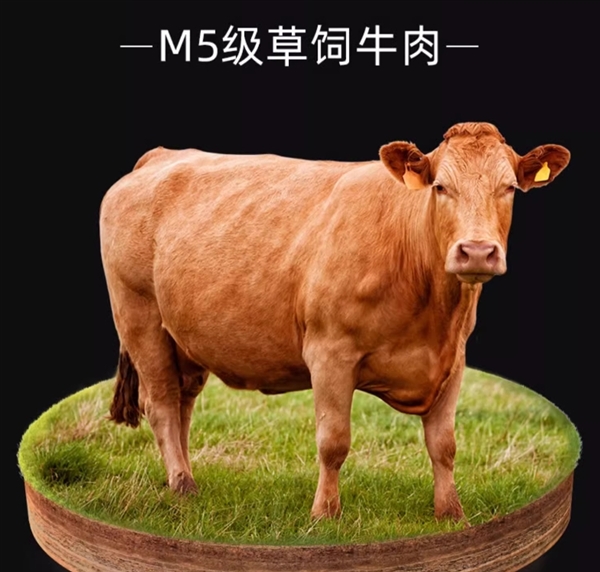 M5级草饲牛肉：祥泰丰黑椒牛柳预制菜160g*10包到手24.9元