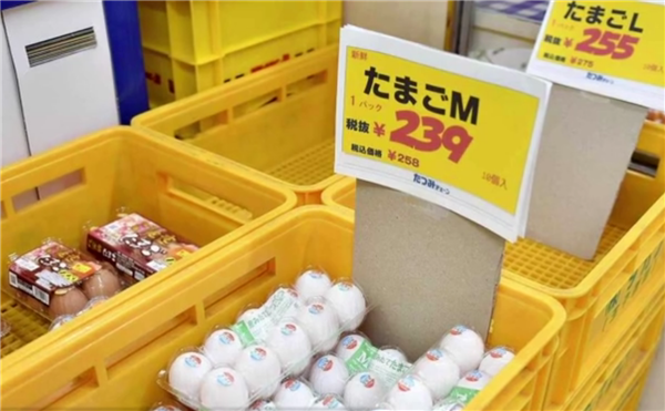 创历史新高!日本暴发禽流感1740万只鸡被扑杀:多地无土掩埋